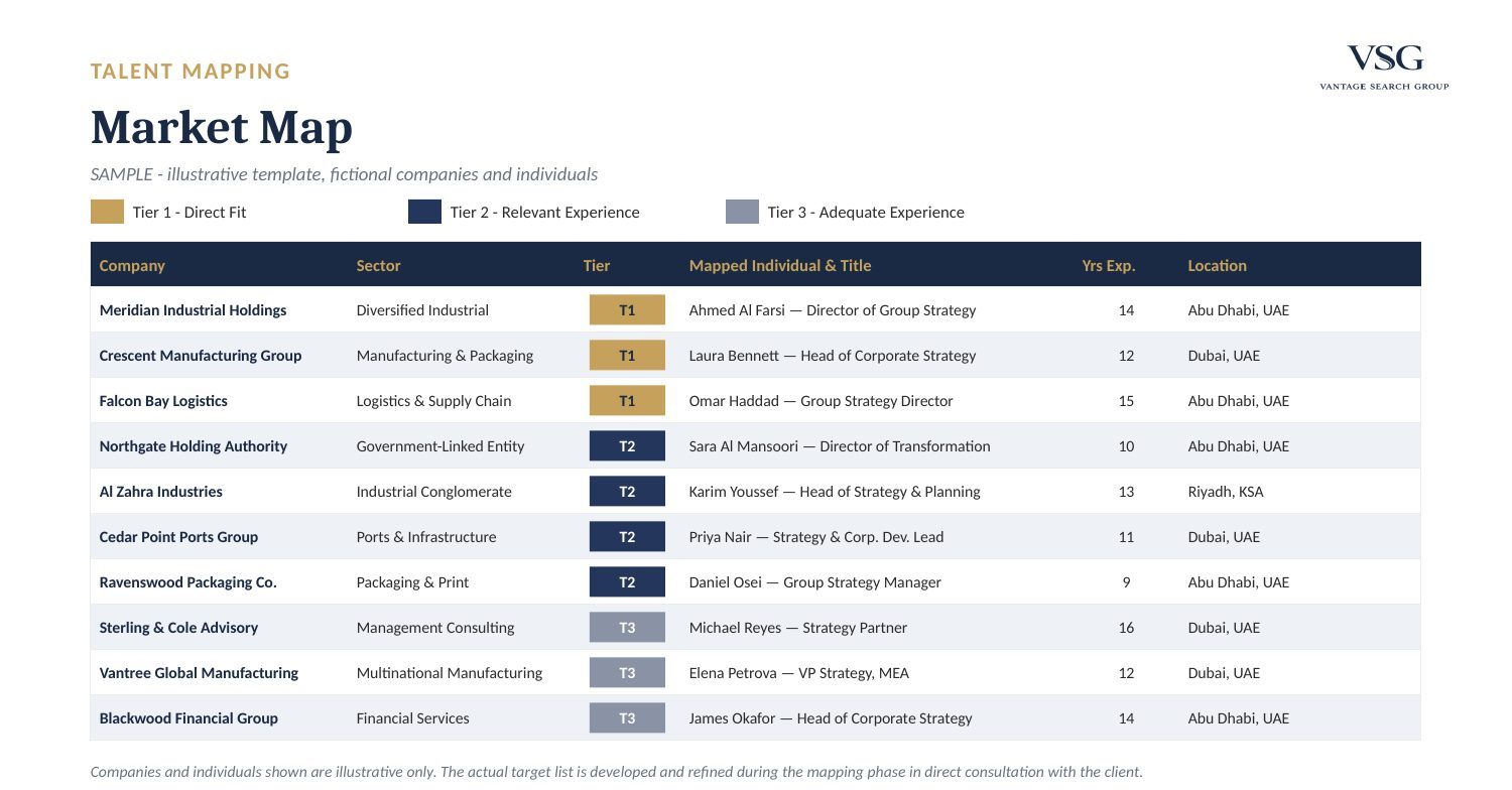 Sample Market Map from a Vantage Search Group retained search