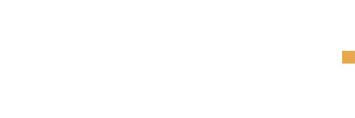 Vantage Search Group